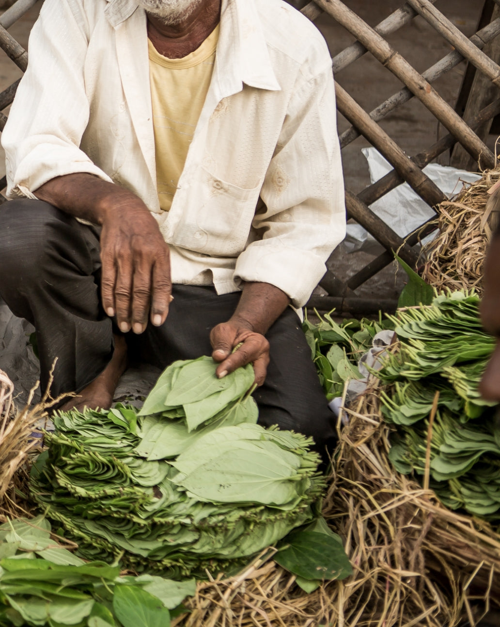 The Spice Tailor